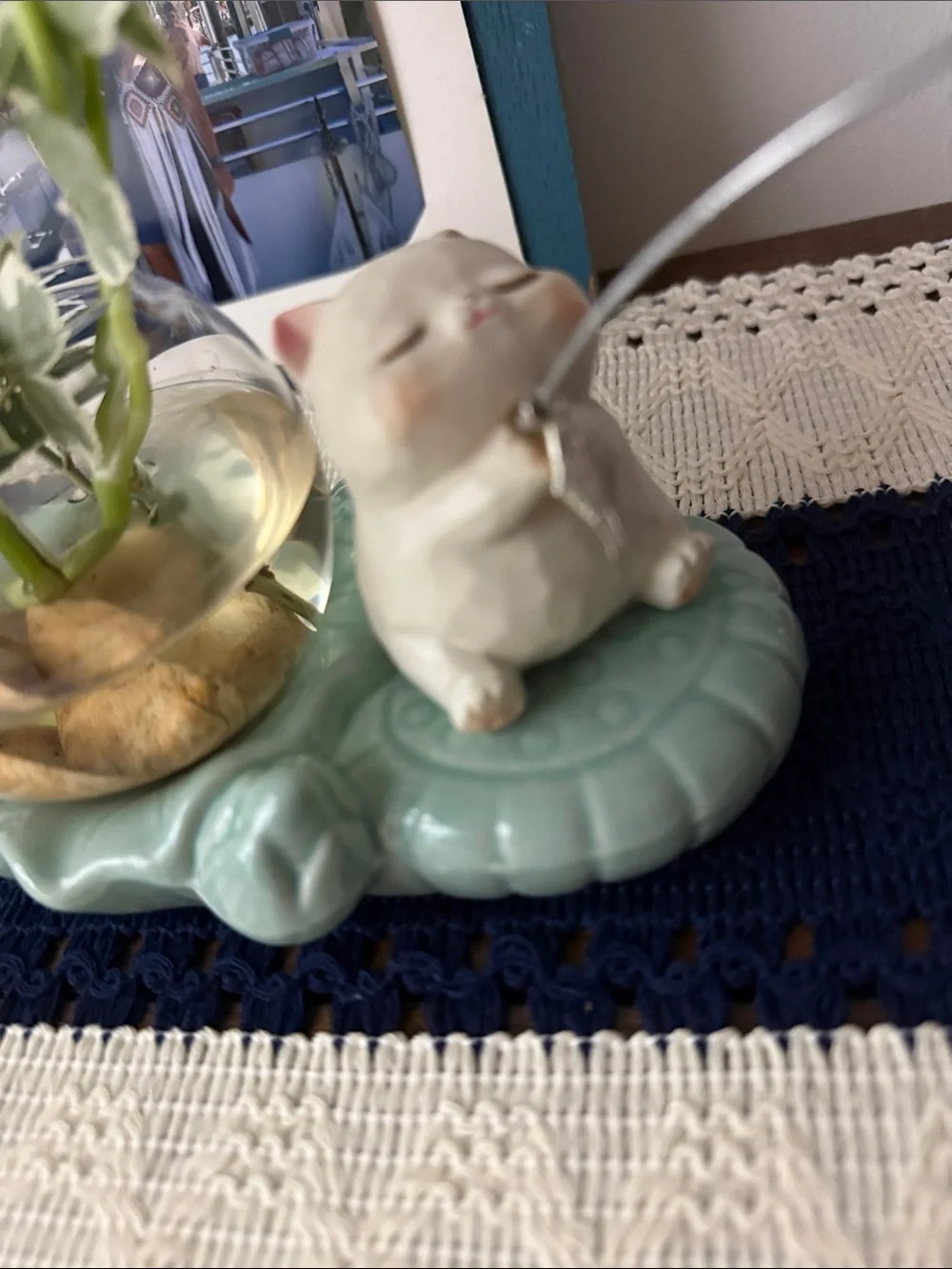 Amazon charming small